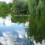 Аренда усадьбы с парком, озером, бассейном в Романкове