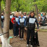 дрессировка собак в Омске